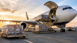 Air Freight & Transportation