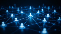 Network Effects