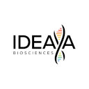 IDEAYA Biosciences Reports Second Quarter 2026 Financial Results and Provides Business Update