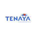Tenaya Therapeutics Reports Second Quarter 2026 Financial Results and Provides Business Update