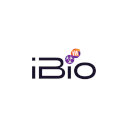 iBio Strengthens Clinical Leadership with Appointment of Endocrinologist Molly Carr as Chief Medical Officer