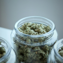 This Week In Cannabis: DEA Slams Legal Weed, Texas Votes Hemp Ban, Argentina Tightens Medical Rules And More