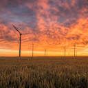 The Long Regulatory Road Ahead for the NextEra-Dominion Deal